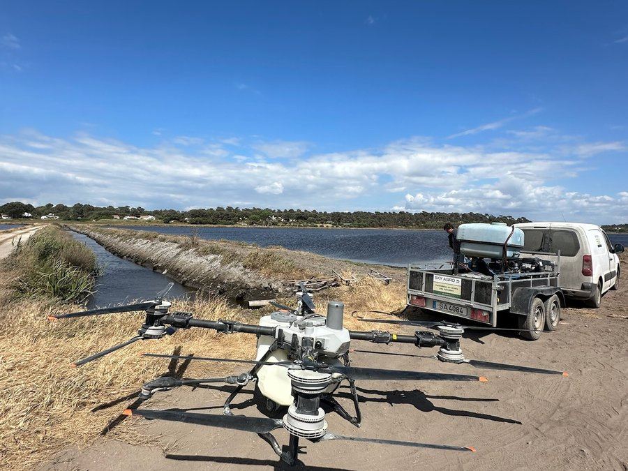 Pulverização com drone em arroz — Sky Agro
