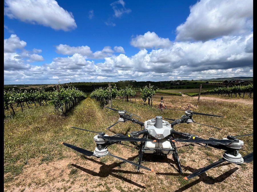 Pulverização com drone em vinha — Sky Agro