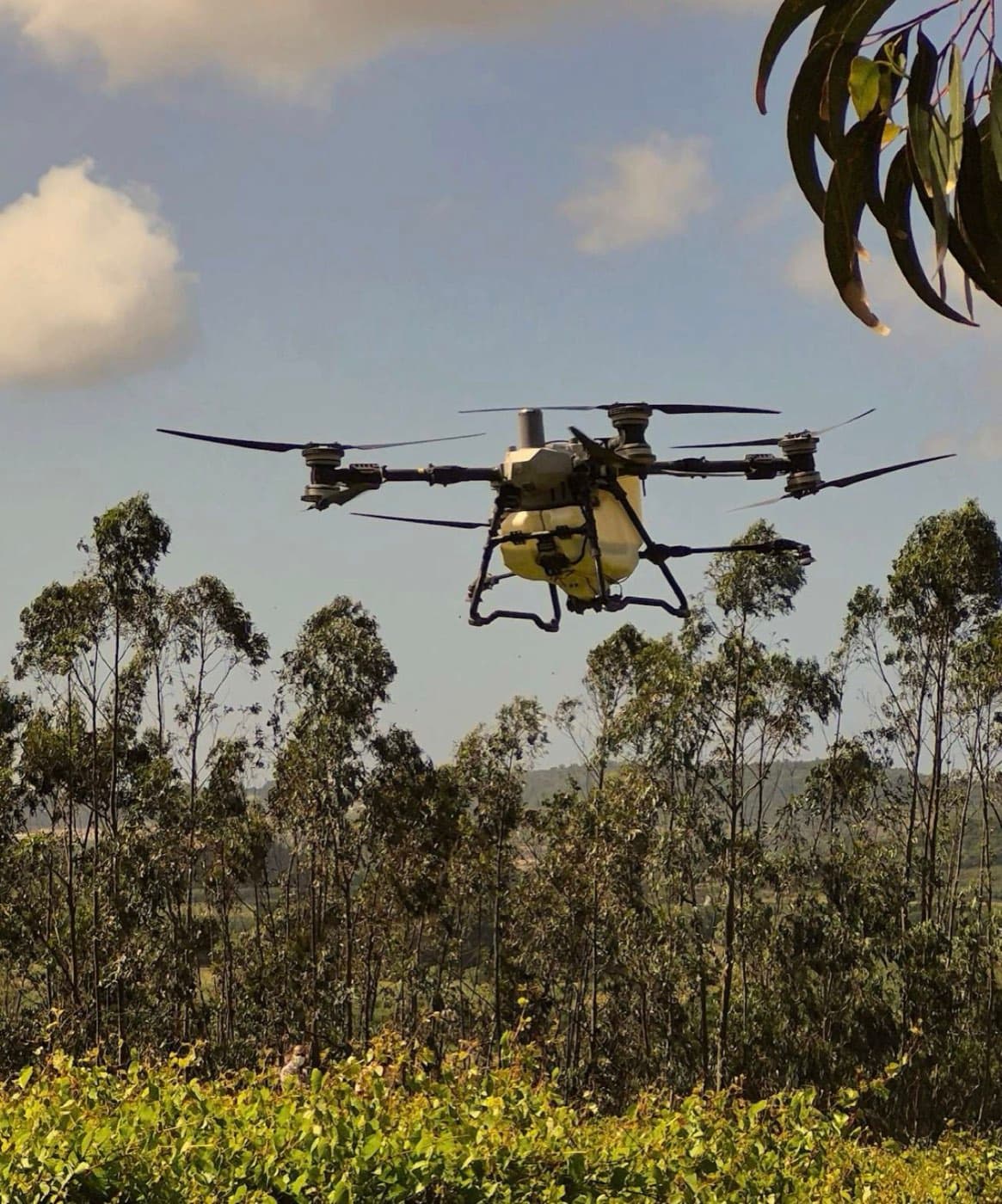 Drone agrícola Sky Agro em voo sobre a cultura