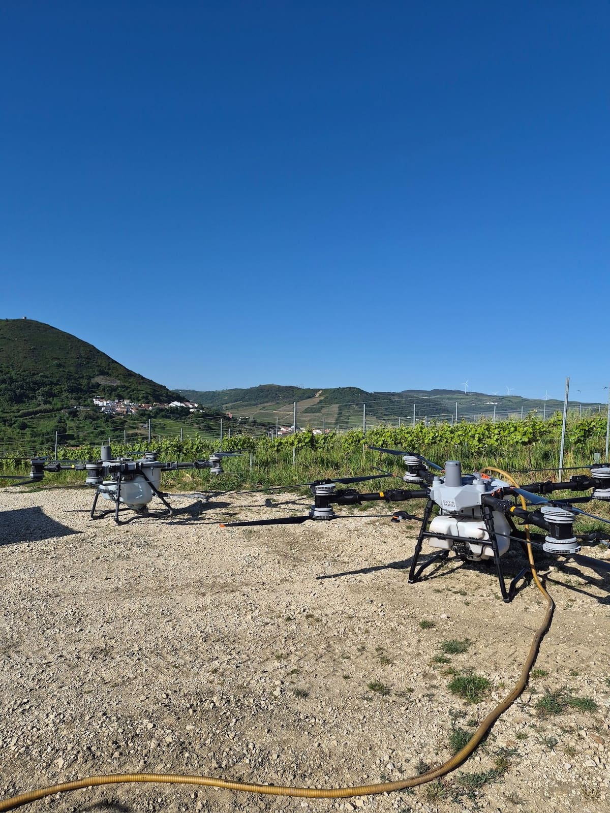 Dois drones Sky Agro prontos a descolar junto a uma vinha