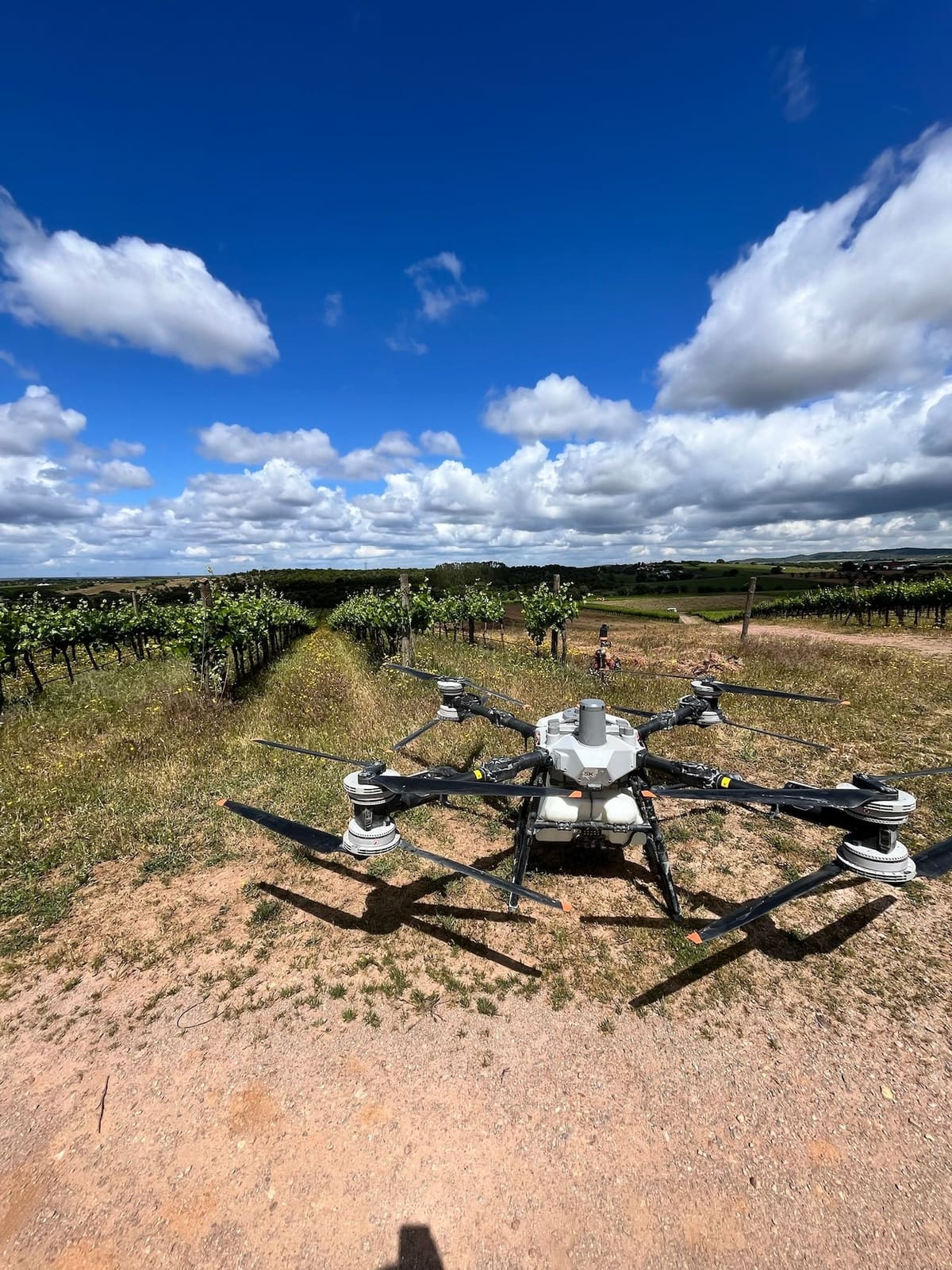 Drone Sky Agro pousado entre as linhas de uma vinha